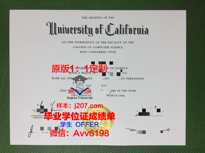 图卢兹第三大学 diploma 毕业证