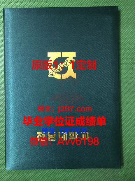 国际法律经营大学院大学毕业证壳子(国际法学院是什么)