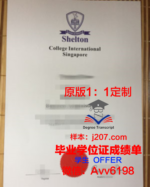 图卢兹高等商学院毕业证书模板(图卢兹高等商学院官网)