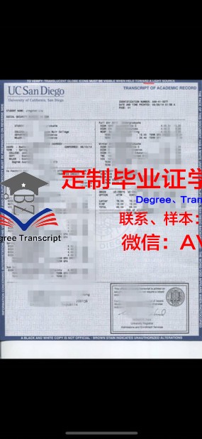 国际短期大学成绩单：跨文化交流的桥梁