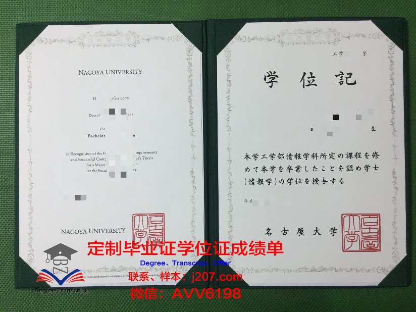 国际观光专门学校名古屋校区毕业证样本