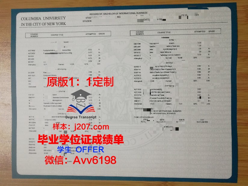 国能大学位成绩单定制：个性化教育的新趋势