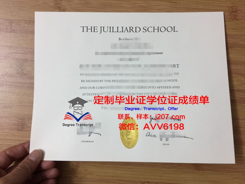 图卢兹高等艺术学院毕业证补办(图卢兹音乐学院排名)