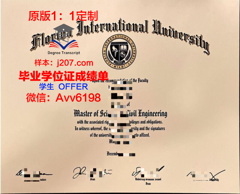 国际信息处理科学学院diploma证书(国际信息工程学院)