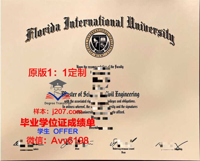 国际信息处理科学学院毕业证是什么样子(国际信息工程学院)