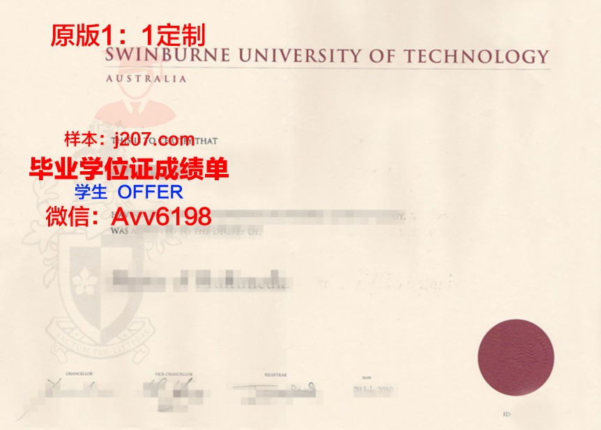 国际大学毕业证书原件(国际大学毕业证书原件怎么弄)