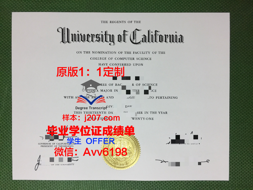 俄罗斯科学院西伯利亚分院油气地质学与地球物理学研究所毕业证原版