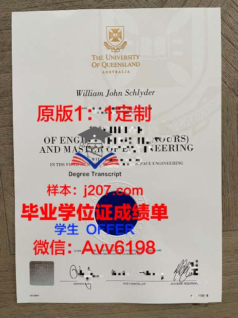 图卢兹第一大学毕业学位