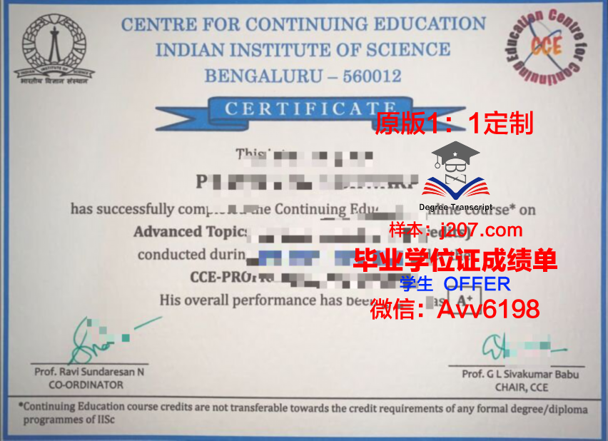 图卢兹国立应用科学学院硕士毕业证：开启职业生涯的黄金钥匙