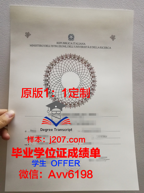 图卢兹高等艺术学院diploma证书(图卢兹美术学院)