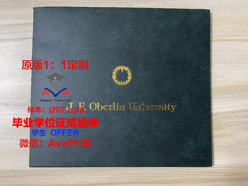 图卢兹第一大学毕业证书原件(图卢兹第一大学经济学院)