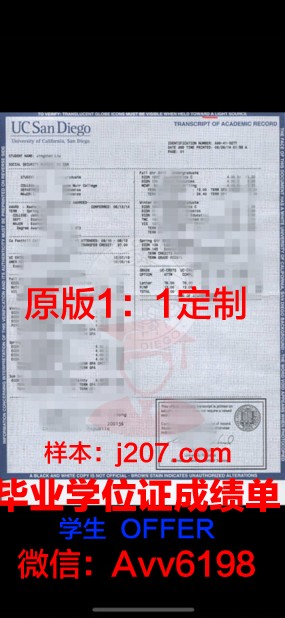 国际奢侈品市场营销学院学位成绩单定制：打造个人职业竞争力的秘密武器