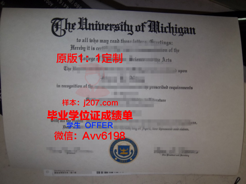 图卢兹第三大学 diploma 毕业证