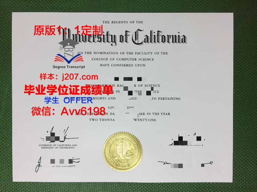 国际大学国际劳动与社会关系学院”毕业证外壳(国际本科毕业证)