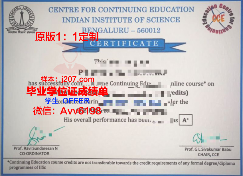 图卢兹国立应用科学学院毕业证图片(图卢兹管理学院)