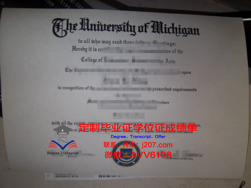 图卢兹第二大学毕业证diploma