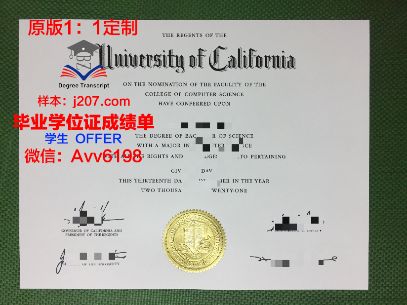 俄罗斯科学院西伯利亚分院油气地质学与地球物理学研究所毕业证是什么模样