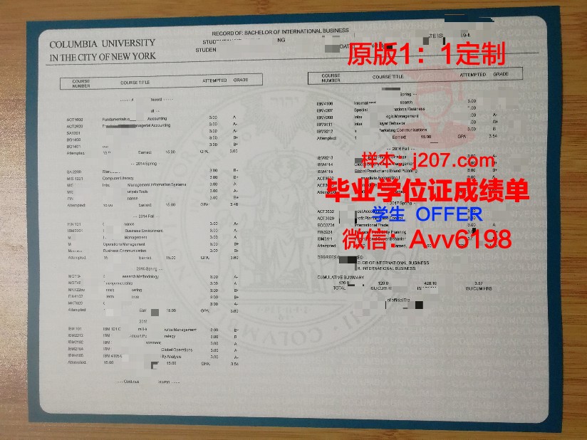 国际伯奇大学学位成绩单定制：打破传统，开启个性化教育新篇章