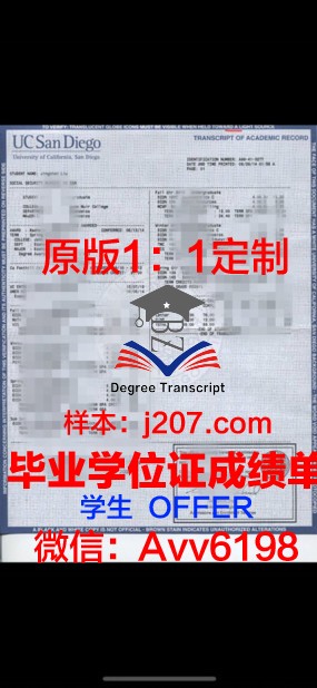 国能大学位成绩单定制：个性化教育的新趋势