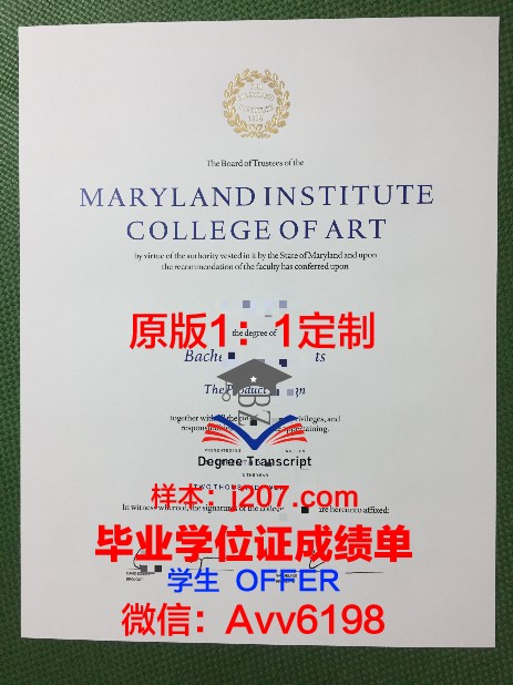 图卢兹高等艺术学院证书成绩单(图卢兹大学商学院)