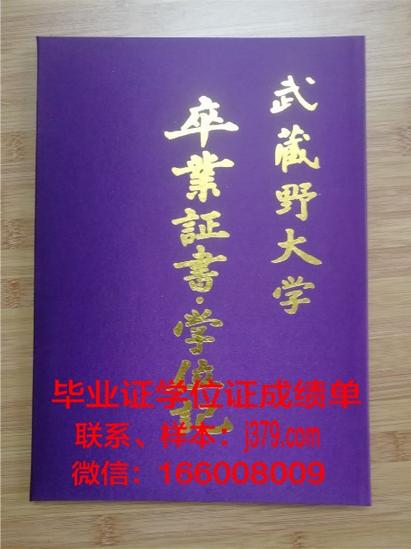 图卢兹第二大学毕业证壳子(图卢兹二大学费)