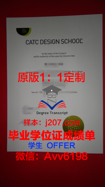 国际设计与服务学院毕业证什么样子(国际设计艺术学院排名)