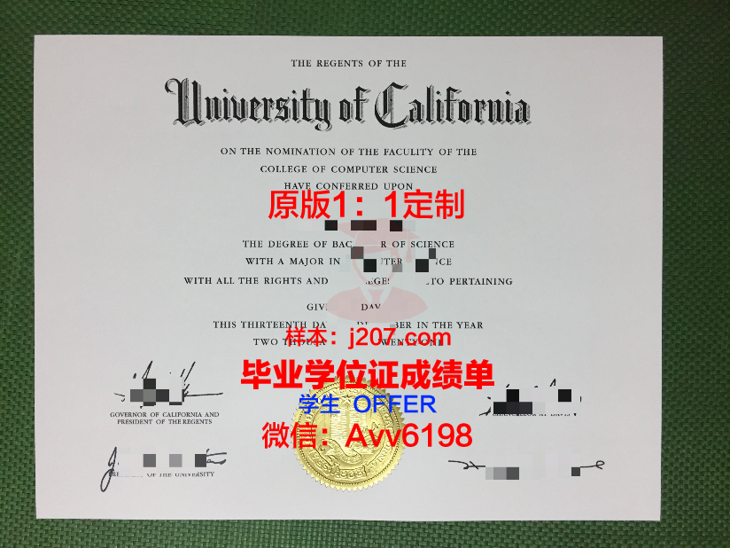 图卢兹政治学院毕业证学位文凭学历Diploma