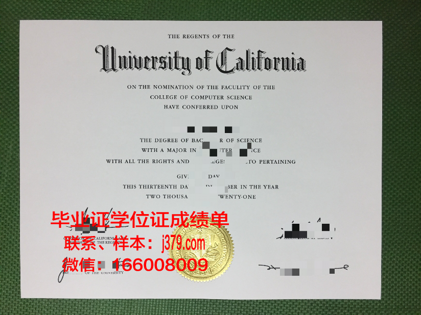 图卢兹第三大学的毕业证啥样(图卢兹学院)