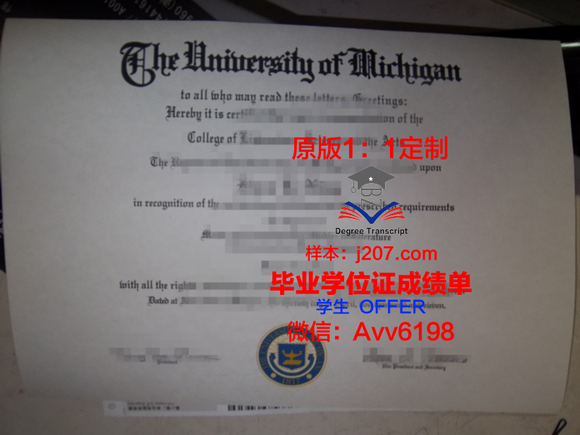 图卢兹政治学院毕业证学位文凭学历Diploma