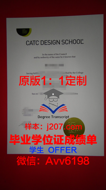 国际设计与服务学院毕业证是真的吗(国际设计艺术学院是什么学校)