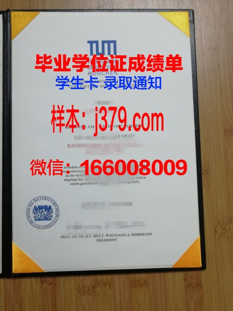 慕尼黑工业大学毕业证书样本模板(慕尼黑工业大学本科几年制)
