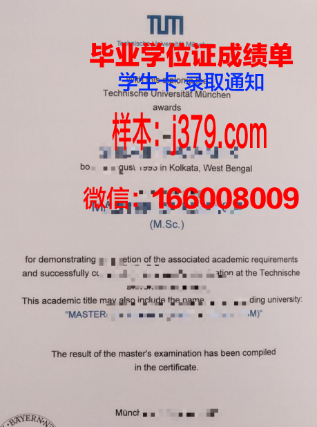 慕尼黑工业大学毕业证书样本模板(慕尼黑工业大学本科几年制)