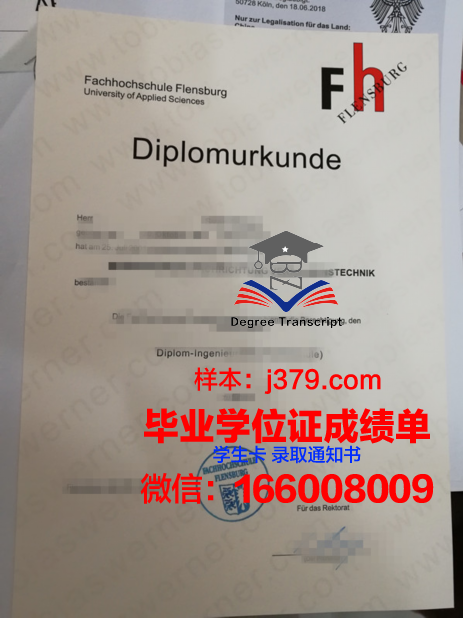 弗伦斯堡应用技术大学博士毕业证书(佛罗伦萨大学博士)