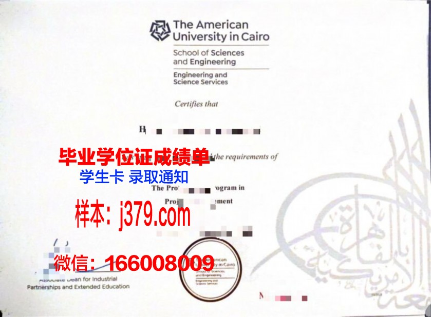 开罗美国大学毕业证书图片模板(开罗美国大学世界排名)