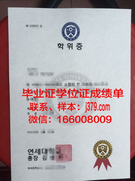 延世大学毕业证diploma