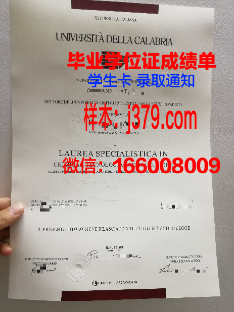 意大利毕业证书电子版(意大利的毕业证)