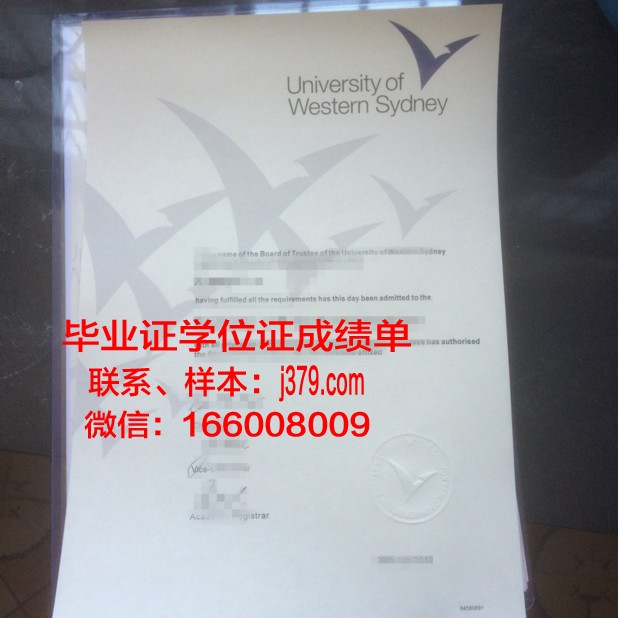 悉尼大学成绩单模板(悉尼大学成绩单模板图片)