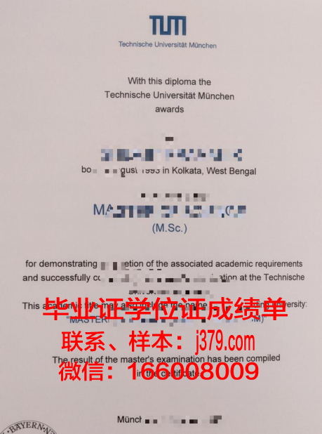 慕尼黑大学毕业证模板(慕尼黑大学毕业有多难)