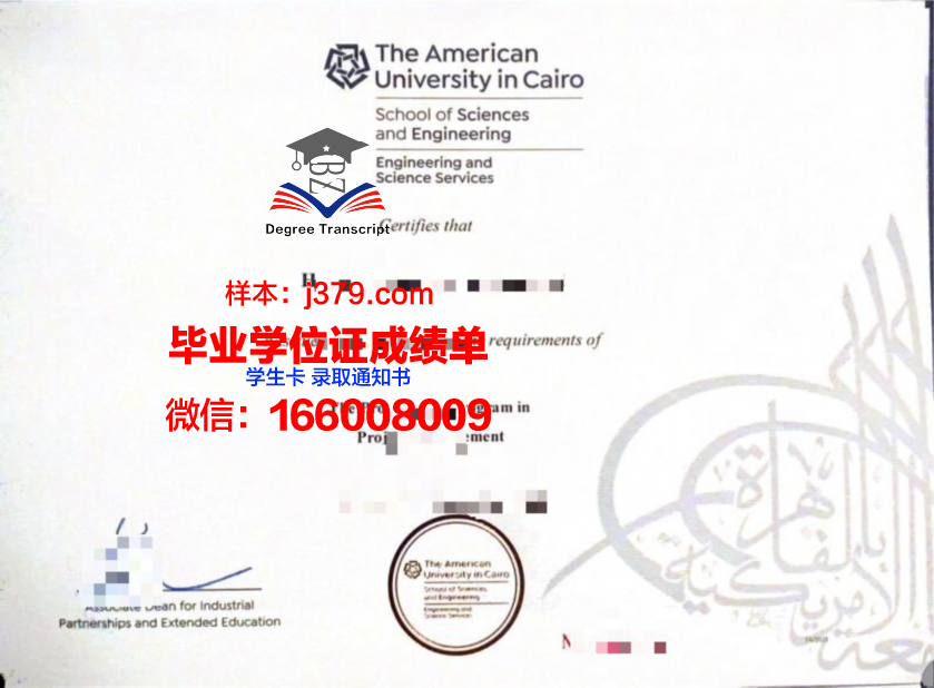 开罗大学证书成绩单(开罗大学申请条件)
