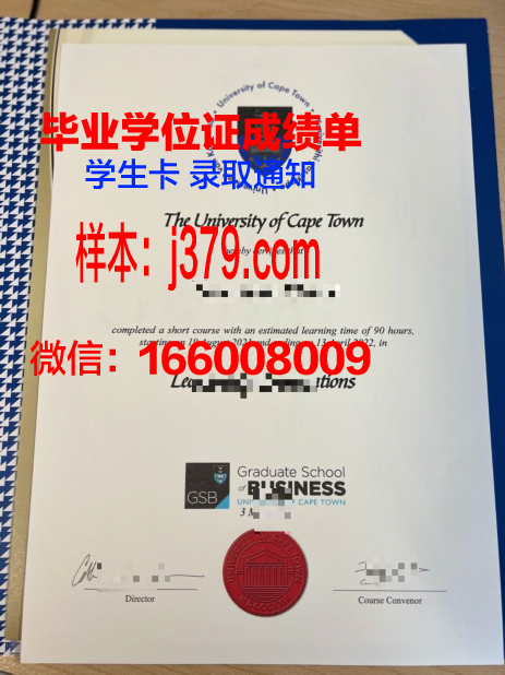开普敦大学毕业学位