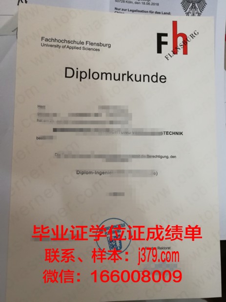 弗伦斯堡应用技术大学博士毕业证书(佛罗伦萨大学博士)