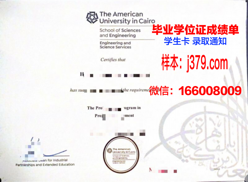 开罗美国大学毕业证壳子(美国大学的毕业证书长什么样)