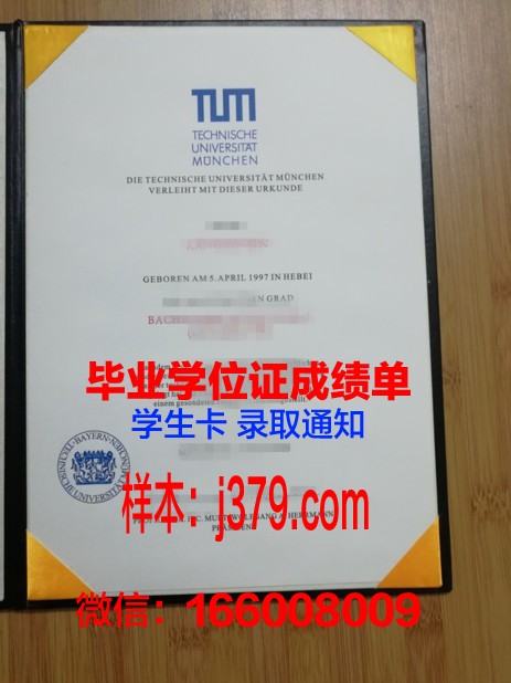 慕尼黑大学毕业证样本(慕尼黑大学毕业率怎么样)