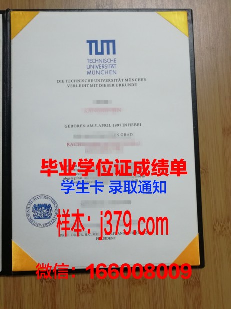 慕尼黑应用技术大学毕业证成绩单(慕尼黑应用科技大学世界排名)