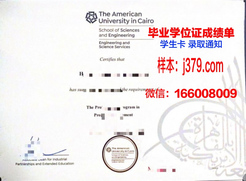 开罗大学毕业证样本(开罗大学英文)