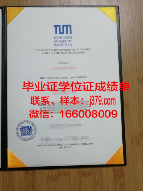 慕尼黑大学毕业证学位证(慕尼黑大学本科读几年)