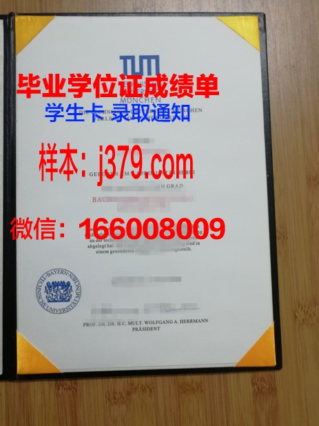 慕尼黑U毕业证:一份跨越国界的荣誉