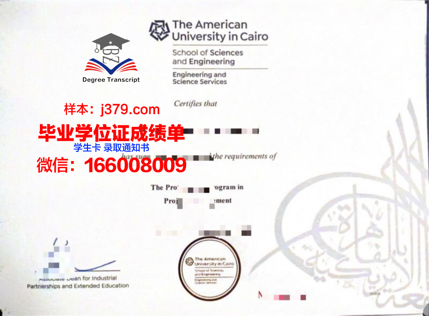 开罗大学毕业证是什么模样(开罗大学入学条件)