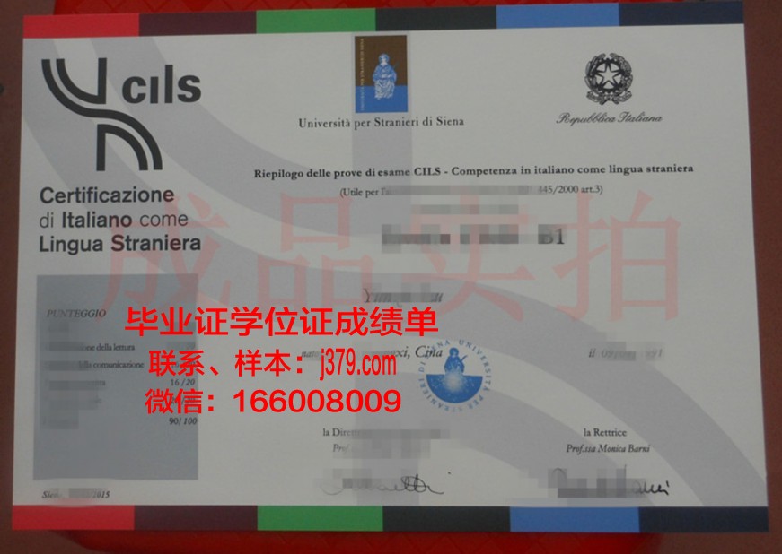 意大利锡耶纳外国人大学毕业证是什么样呢(锡耶纳外国人大学怎么样)