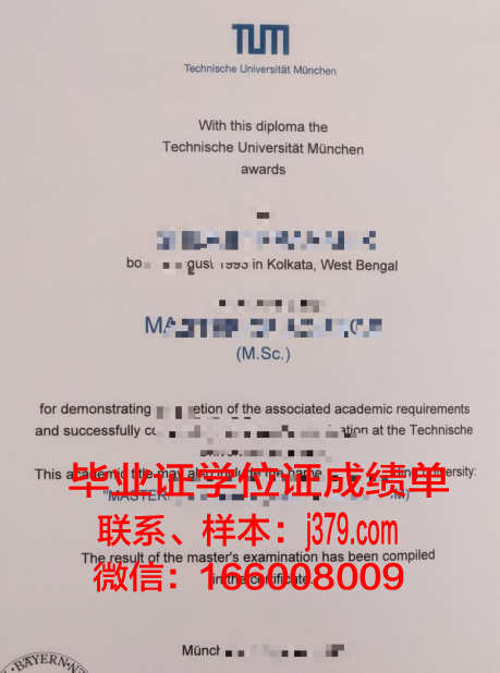 慕尼黑大学毕业证书模板(慕尼黑大学毕业率怎么样)